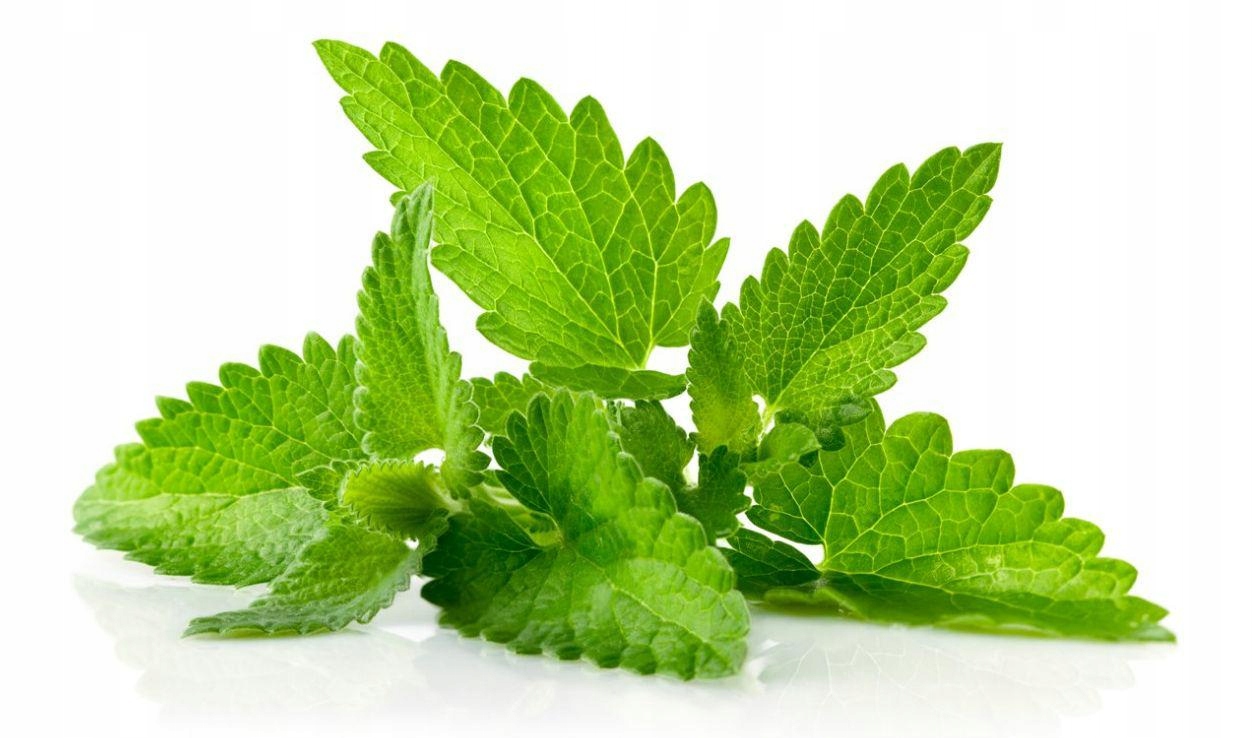 HYDROLAT Z MIĘTY PIEPRZOWEJ PEPPERMINT - 100, ml