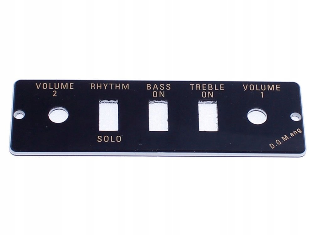 Płytka kontrolna elektroniki Hofner HA2B-B (bk)