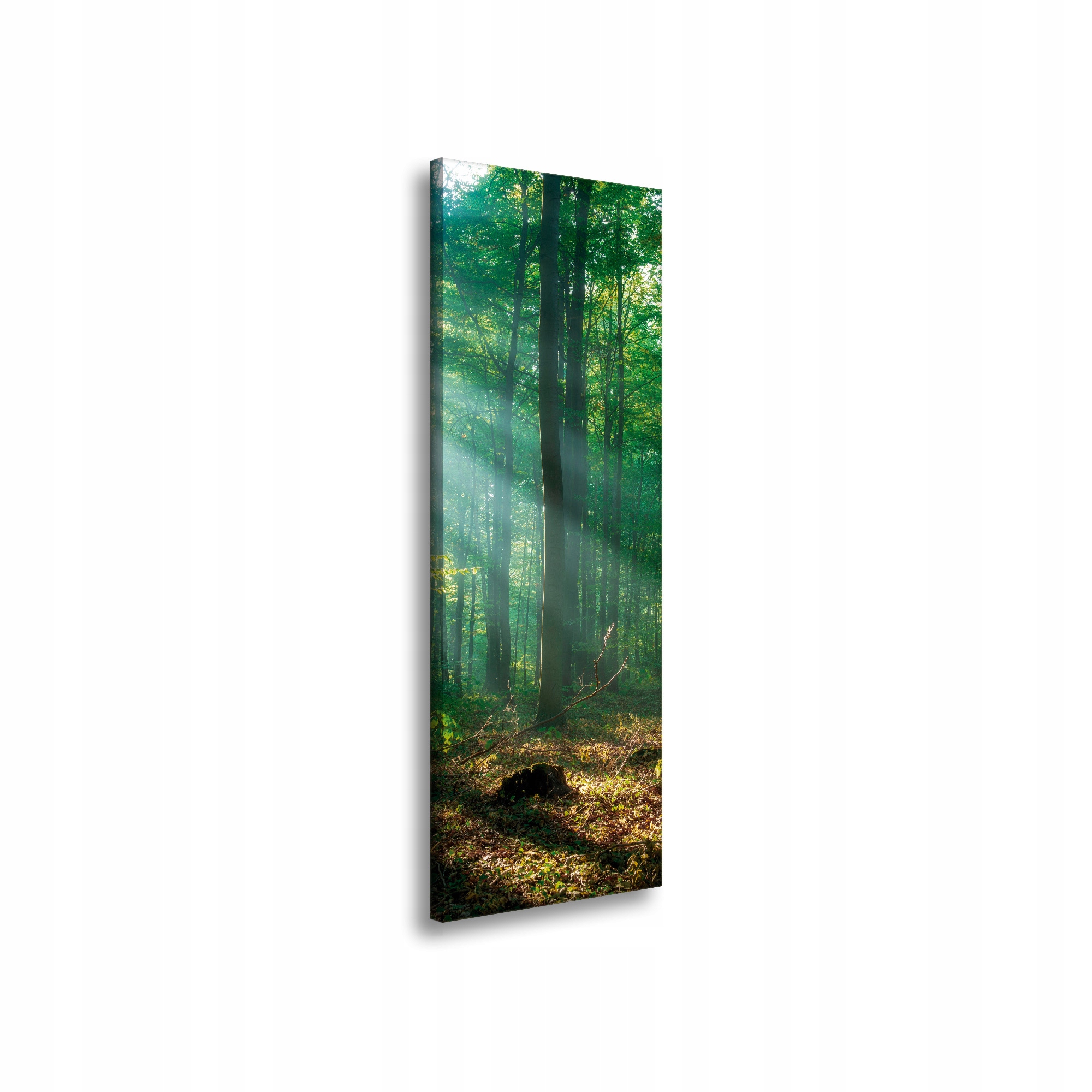 Obraz na plátně Les Stromy Sluneční paprsky 40x120 cm