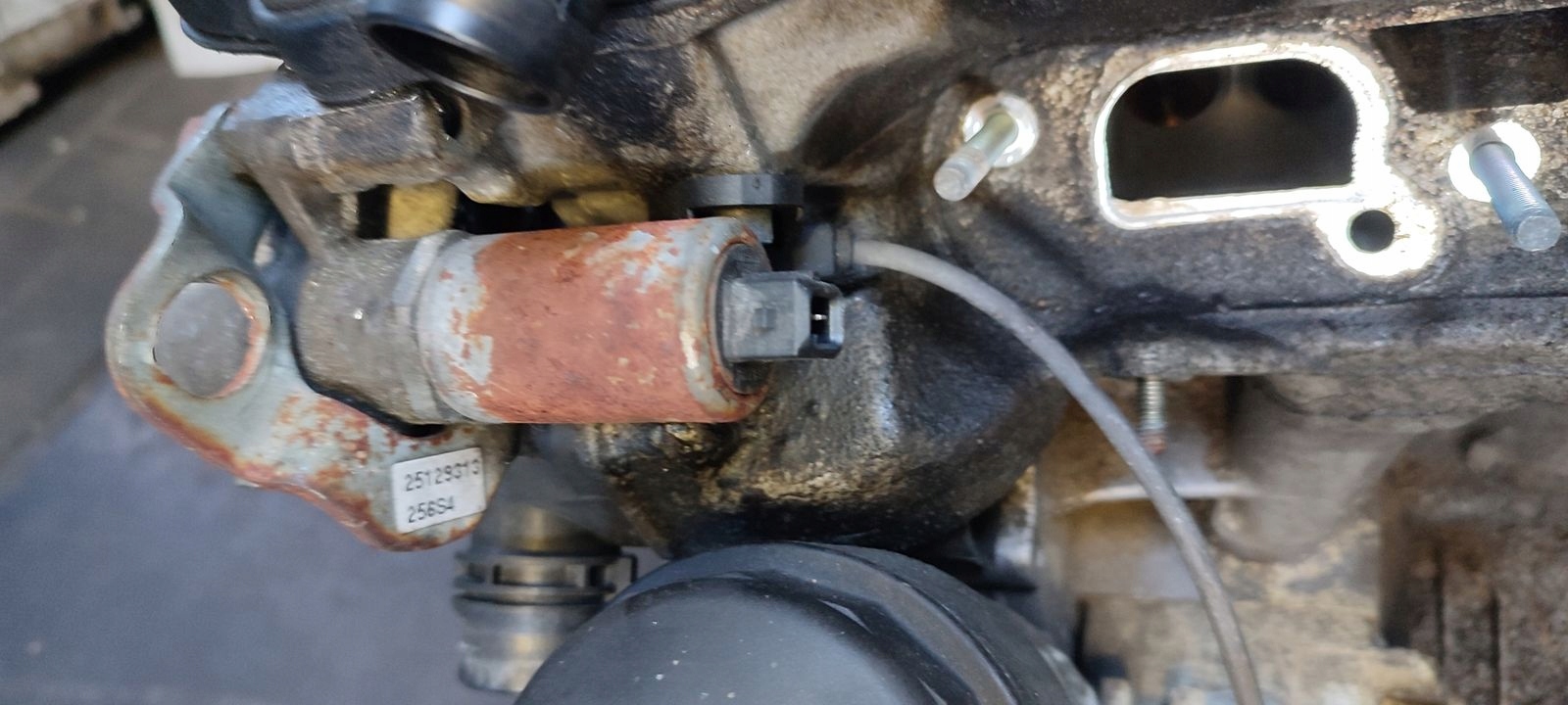 motor M52 256S4 BMW E46 Coupe 2,5