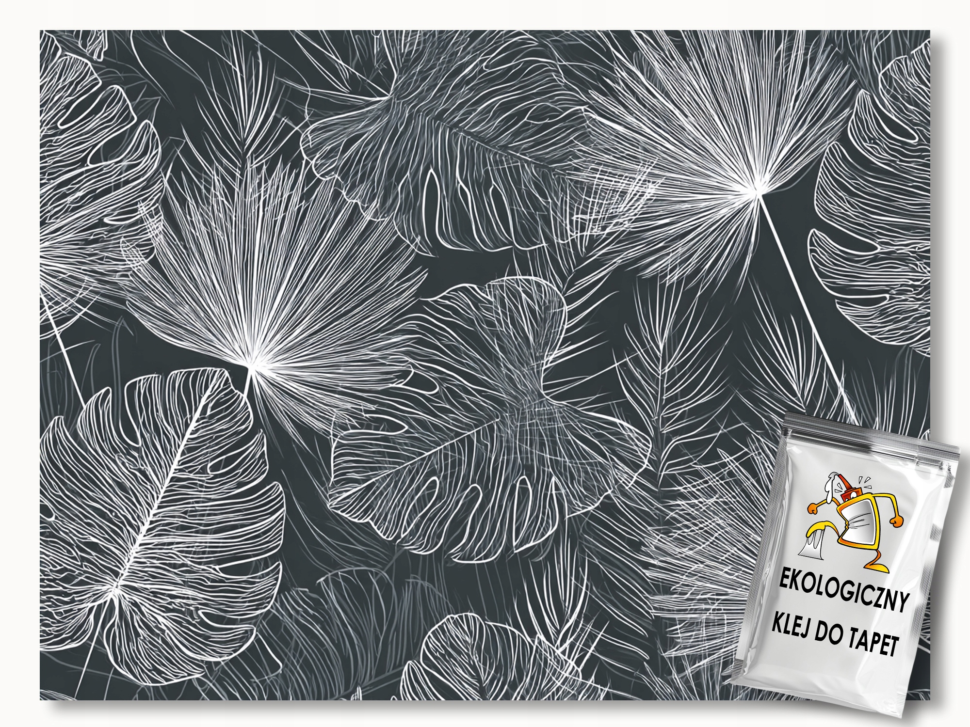 Fototapeta Flizelina Grafika Rostliny Listy Monstera Palma 250x175 110g