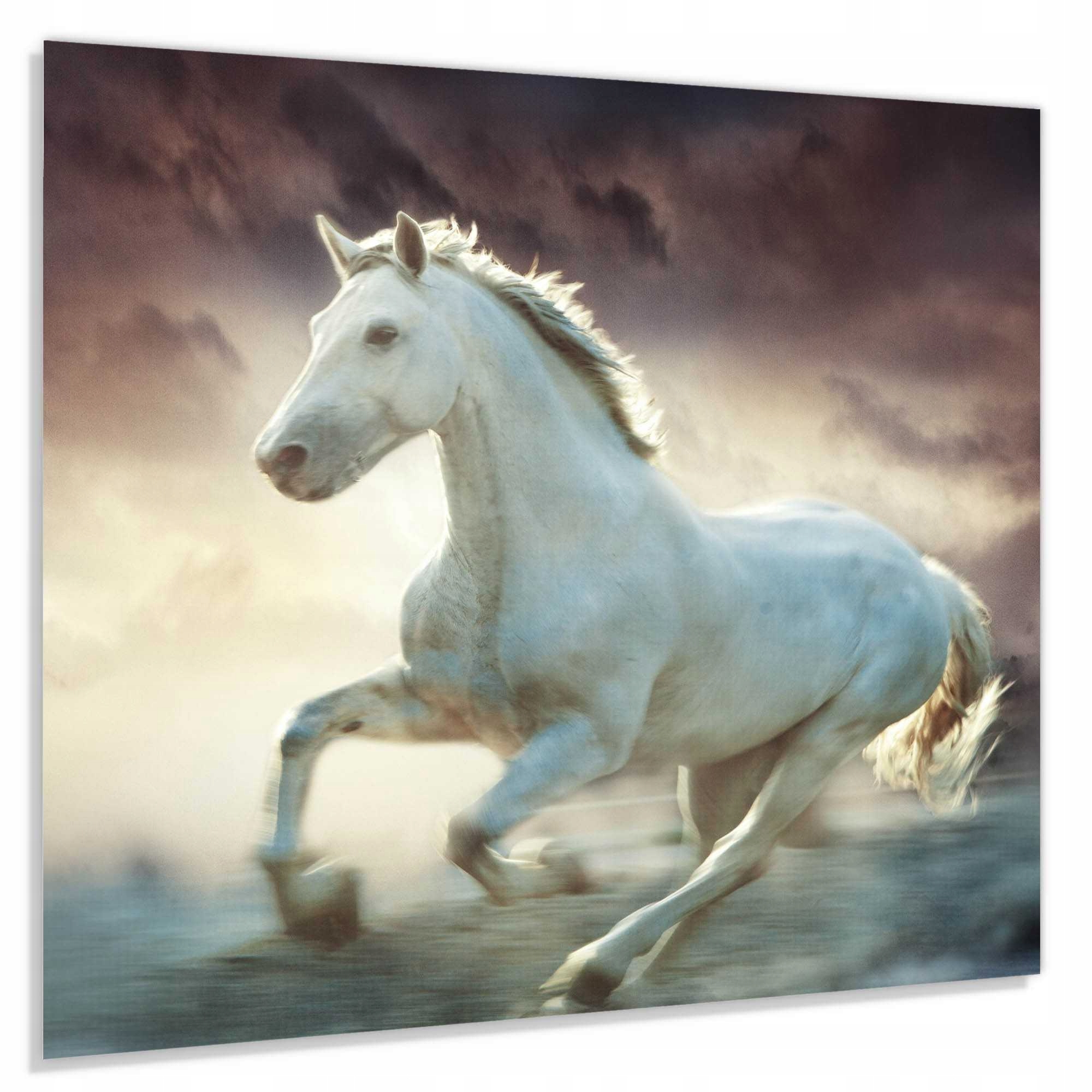 Tvrdený Panel 60x65 cm 4 mm Ochranný Lacobel Do Kuchyne Dekoračný