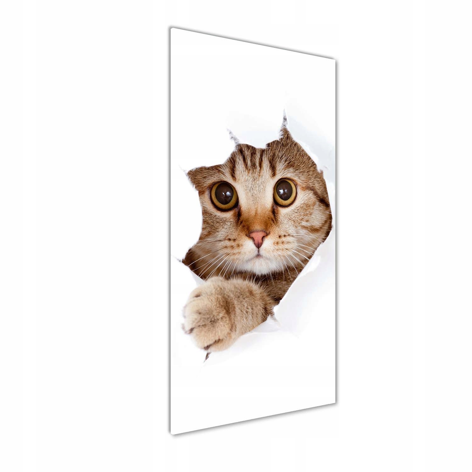 

Nowoczesny obraz zdjęcie na akrylu Kot 50x125 cm