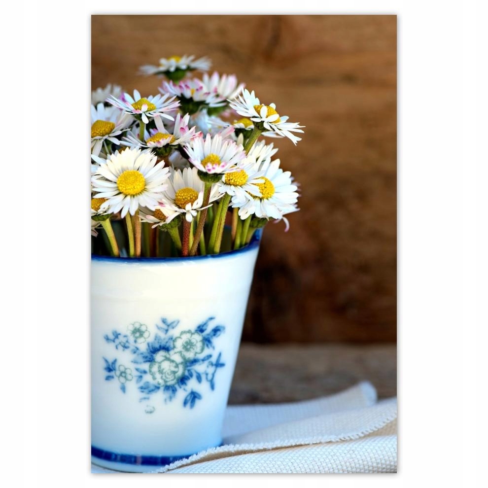 

Plakaty 40x60 Poranne stokrotki