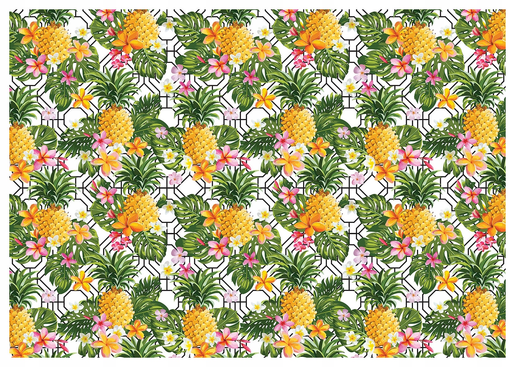 Fototapeta vlies Ananásy a Plumeria tropická geometria 368x254 lepidlo