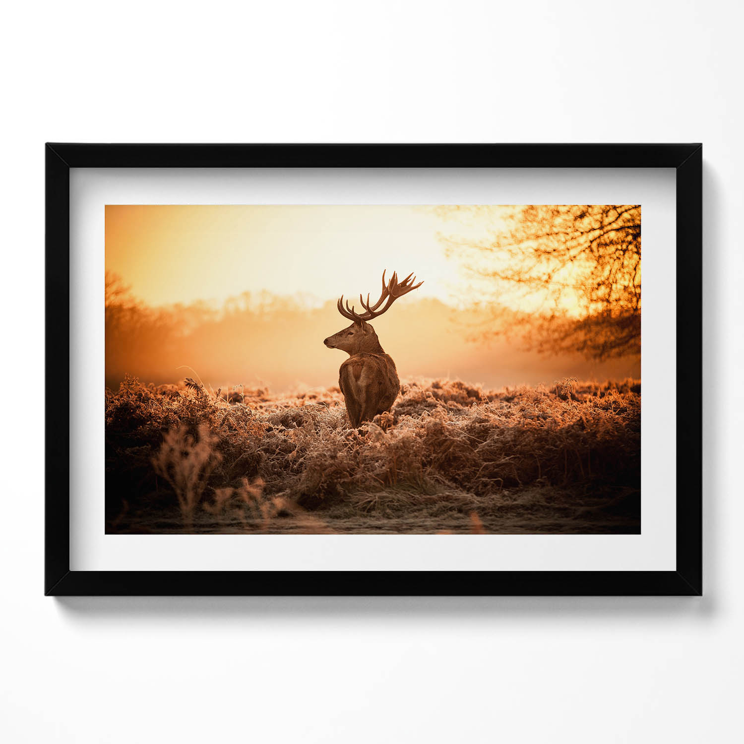 Elegantní obraz v černém rámu Jelen při východu slunce 60x40 cm