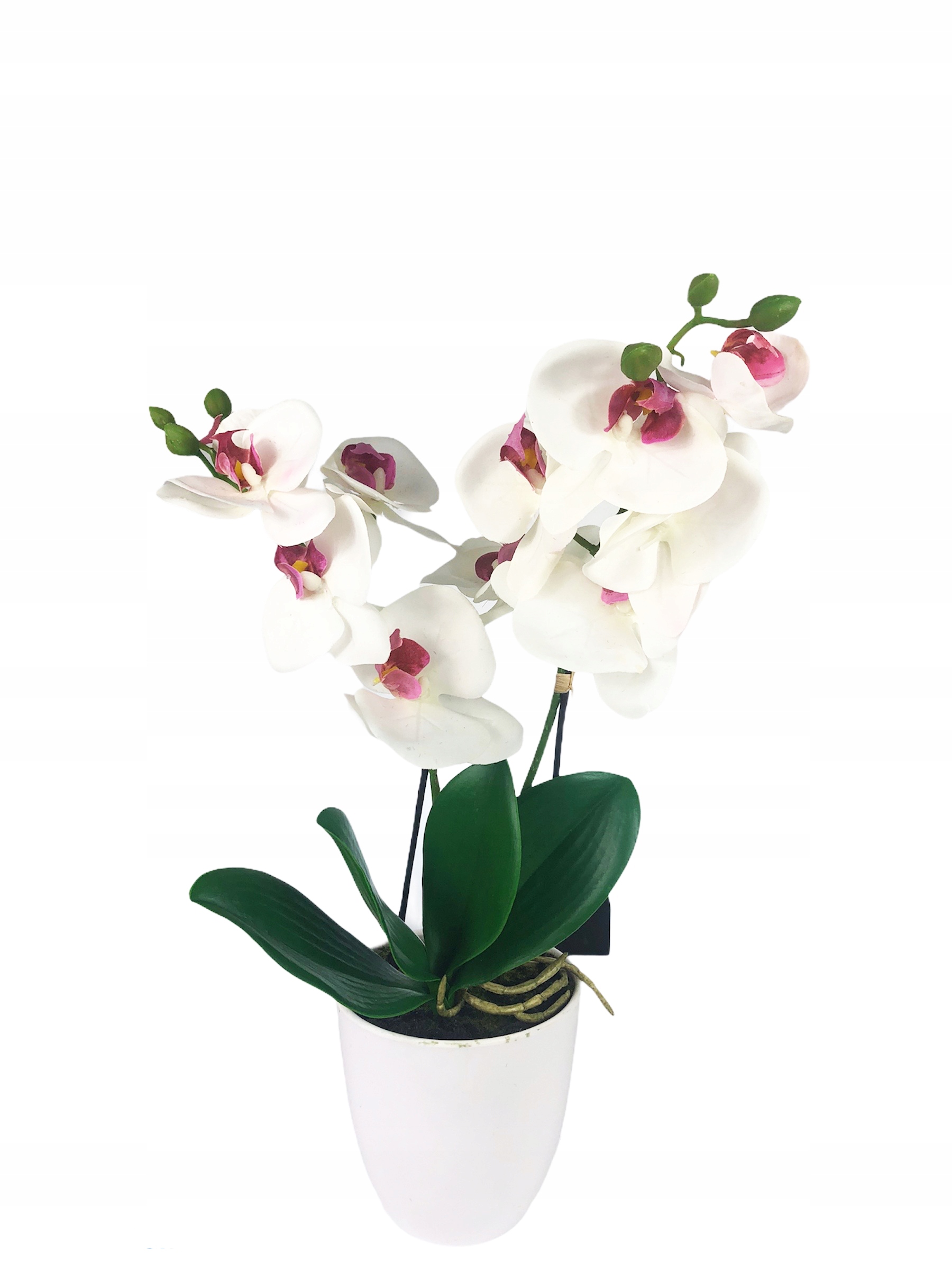 

Storczyk W Doniczce biały Orchidea biała silikon