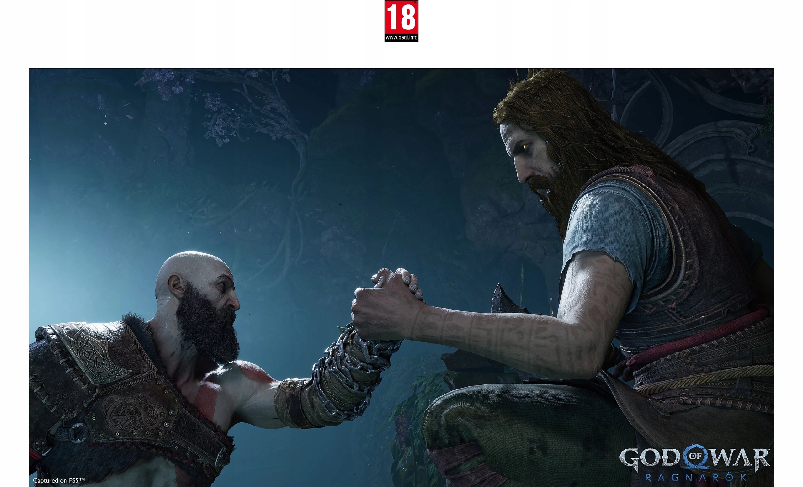 Telewizor LED Sony BRAVIA KD-55X85L 55" 4K UHD Smart TV Android TV