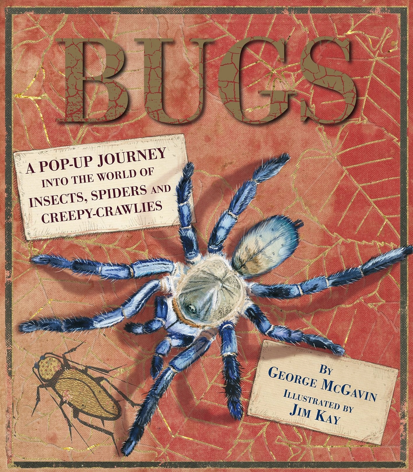 Bugs Dr George McGavin
