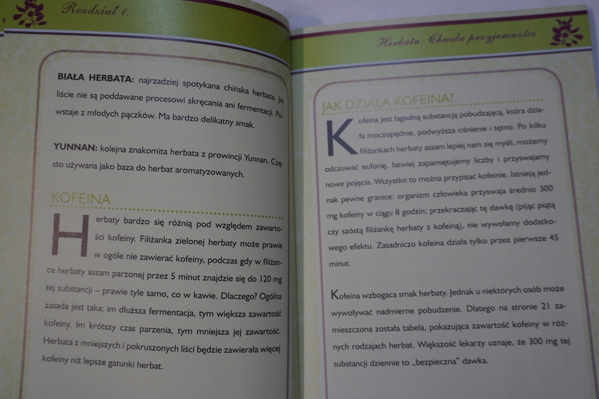 HERBATA 100 PRZEPISÓW MARY WARD Język publikacji polski