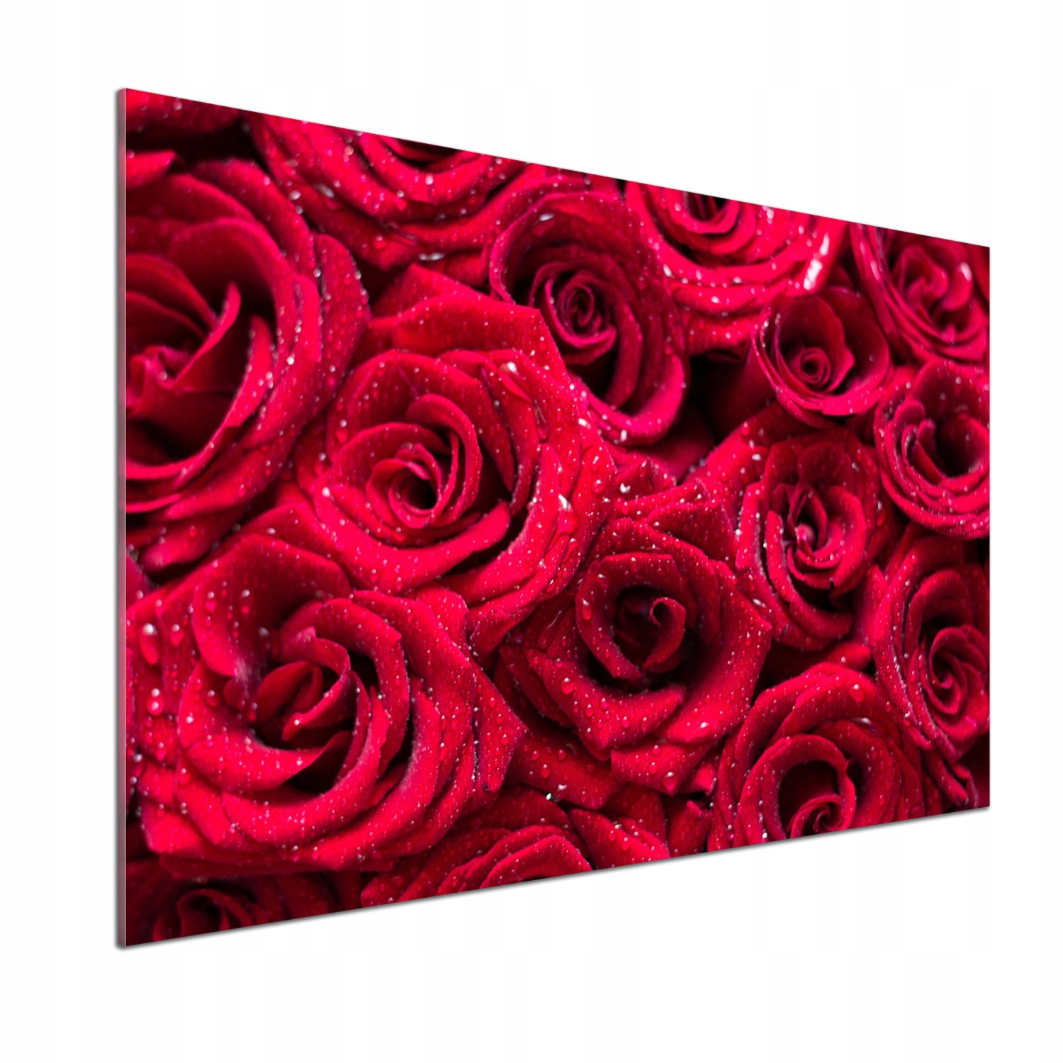 Panel do kuchyne Kvapky na ružiach 100 x 70 cm Lepidlo