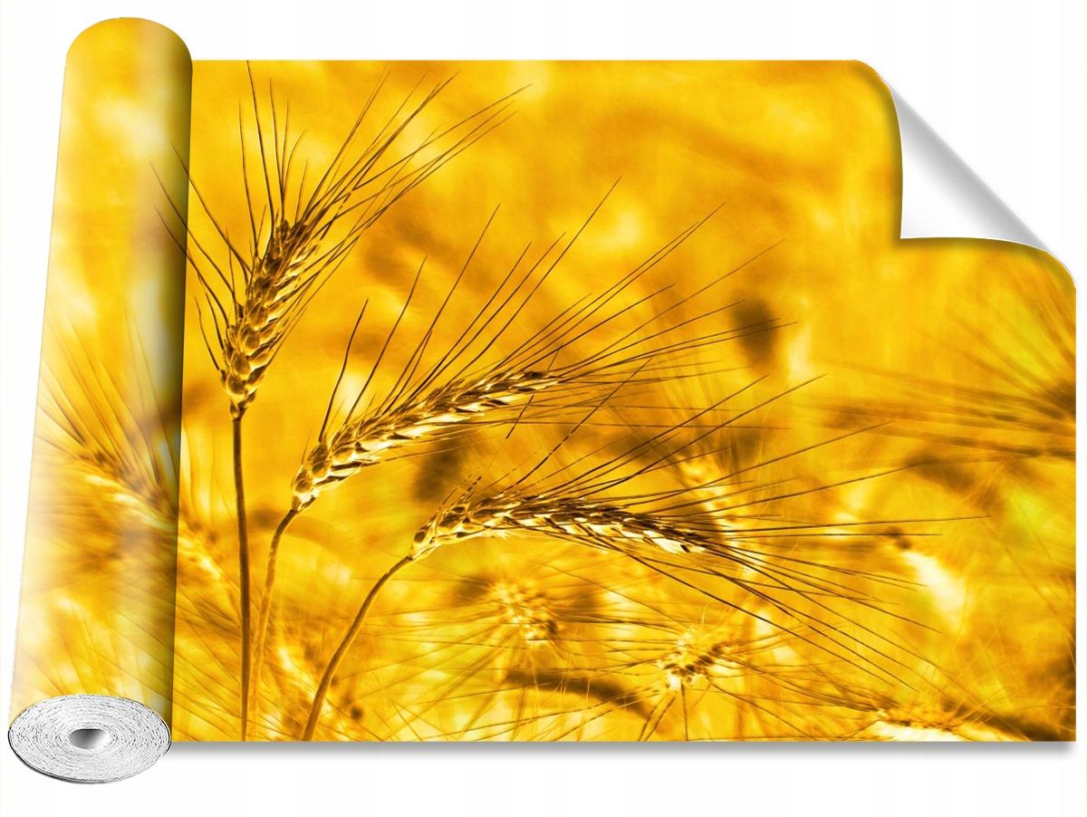 

Tapeta Samoprzylepna Pole pszenicy 208x146