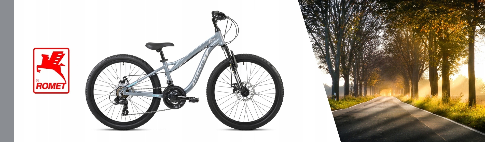 ROWER 24 ROMET RAMBLER FIT SHIMANO GÓRSKI MTB OŚWIETLENIE I STOPKA GRATIS Rozmiar koła (