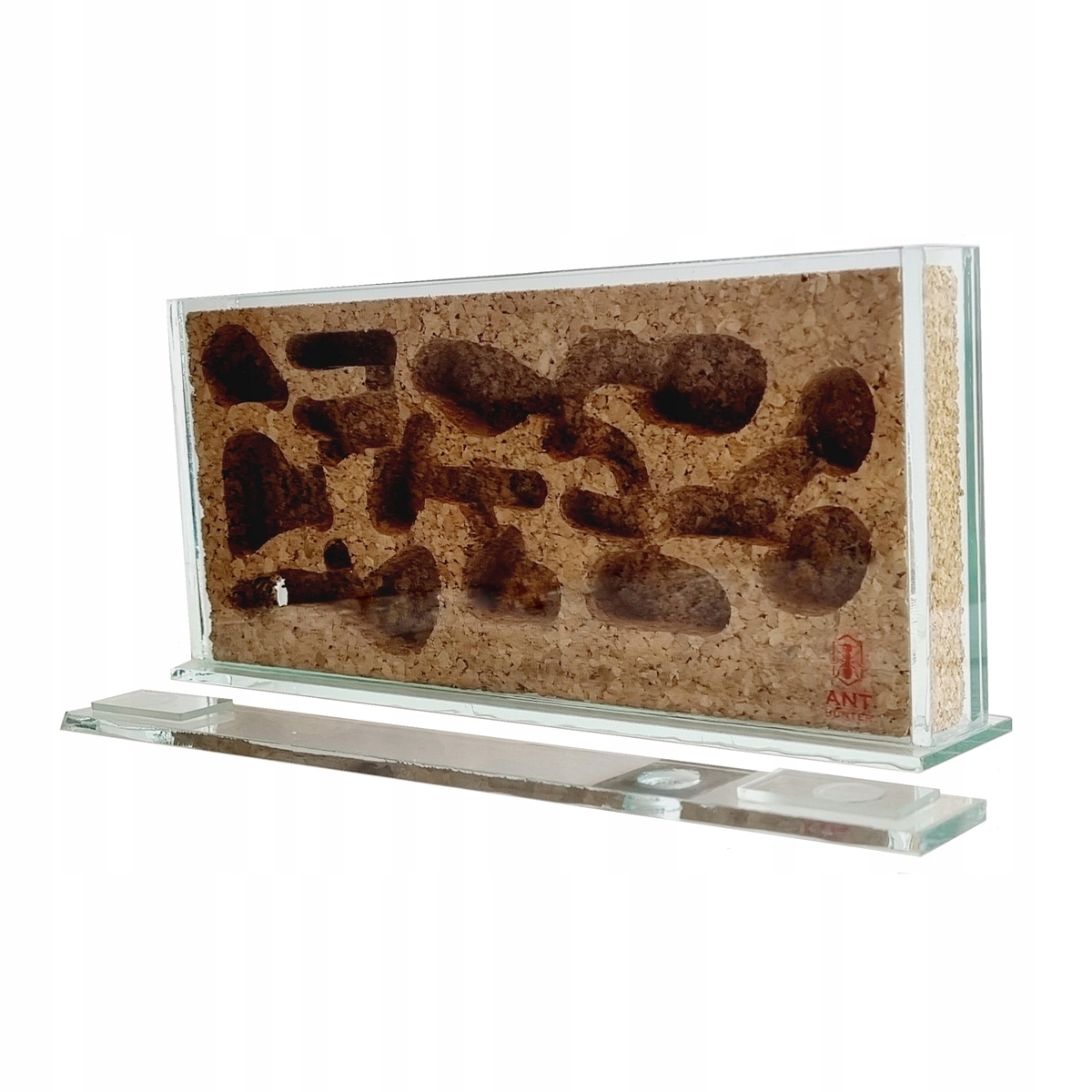 Gniazdo Korkowe Szkło Średnie Hodowla mrówki AntHunter