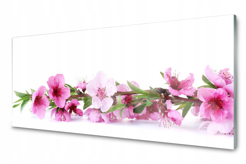 Sklenený panel do kuchyne Kvety Rastlina 125x50