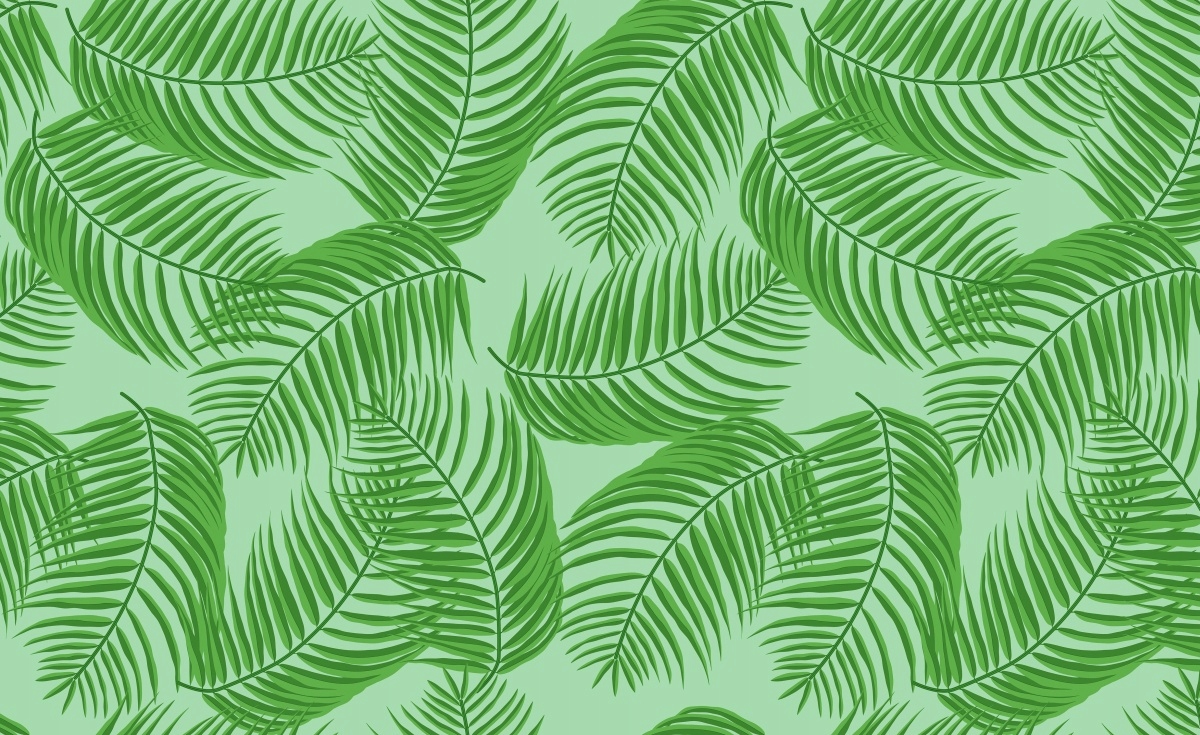 

Fototapeta Flizelinowa Liście palmowe 416x254