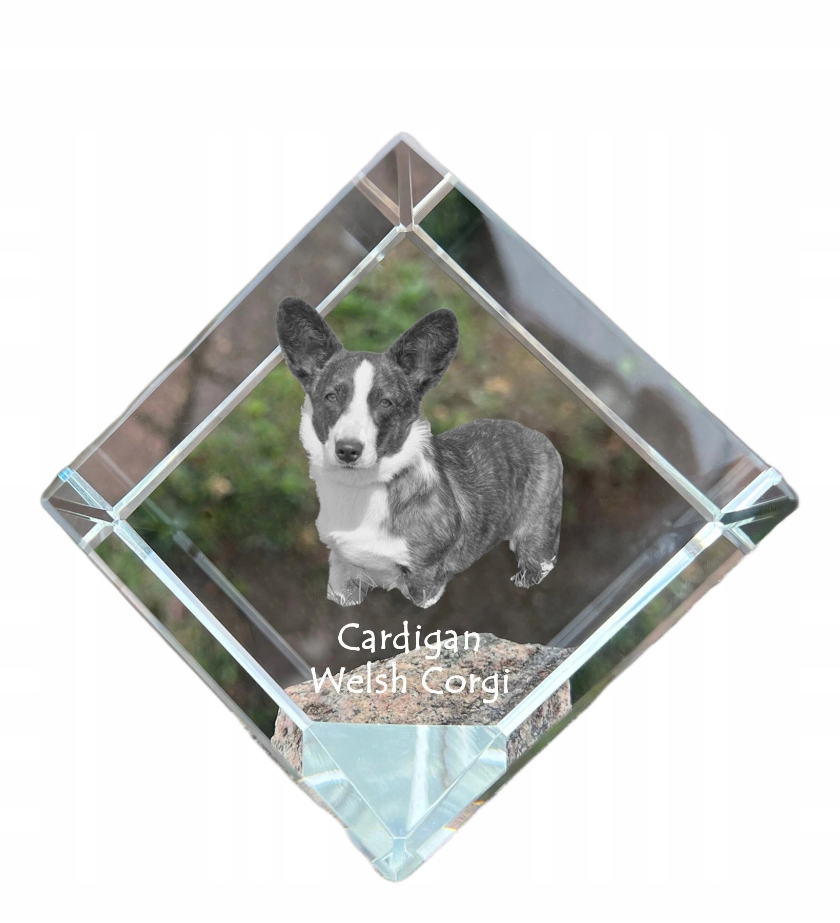 Cardigan Welsh Corgi krištáľová kocka s fotografiou psa, ozdoba na stôl