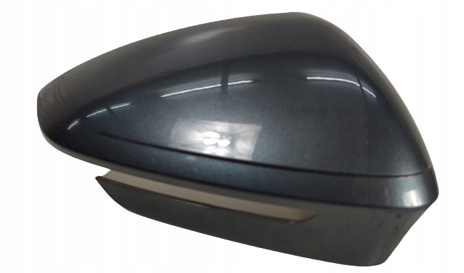 cover mirrors right ENYAQ IV 5LB857538A