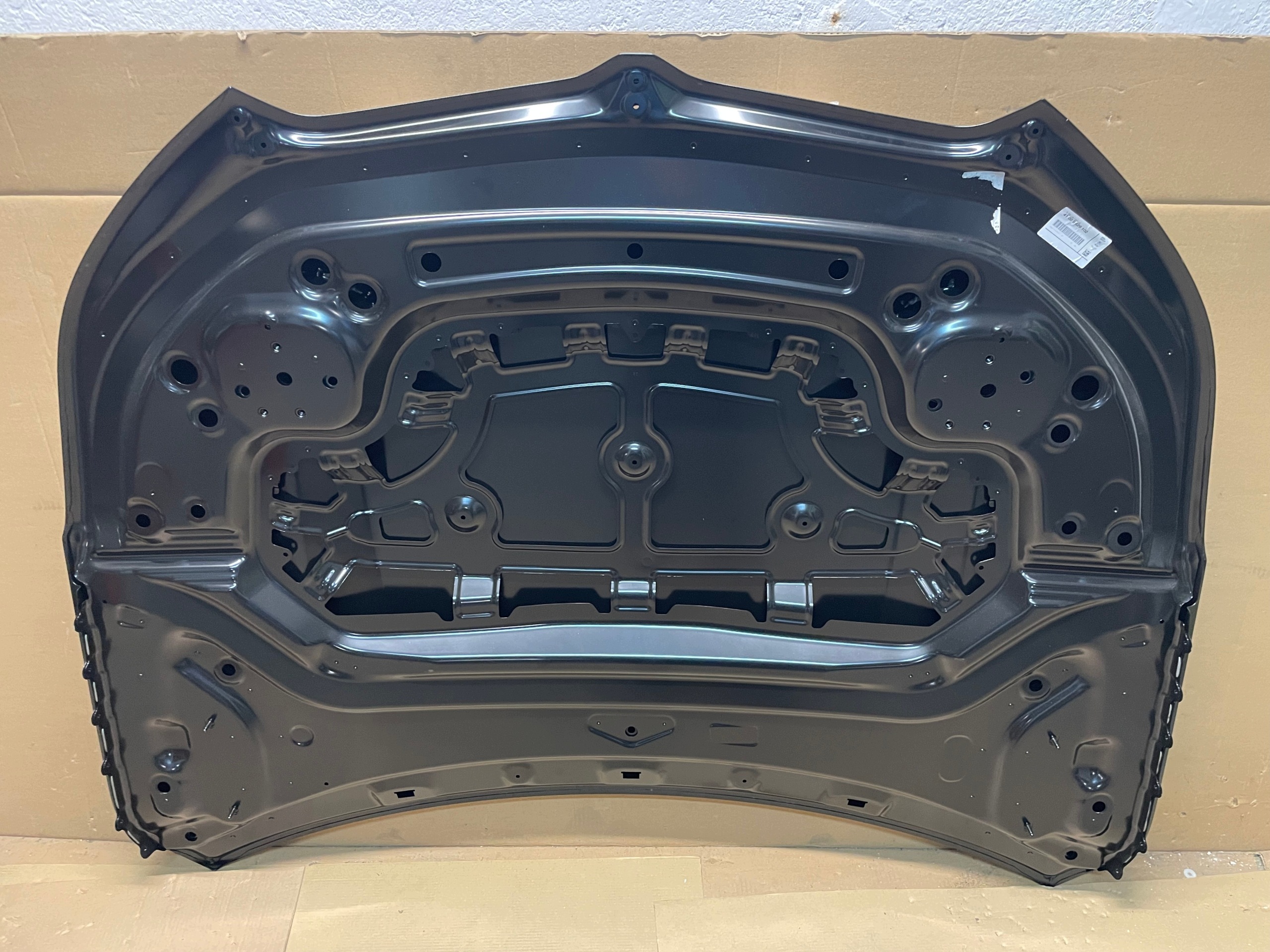 Capot BMW X1 U11 Neuf Original