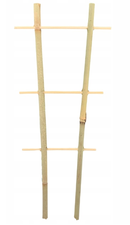 PODPÓRKA DO ROŚLIN DRABINKA BAMBUS 45cm 1szt Rodzaj drabinka