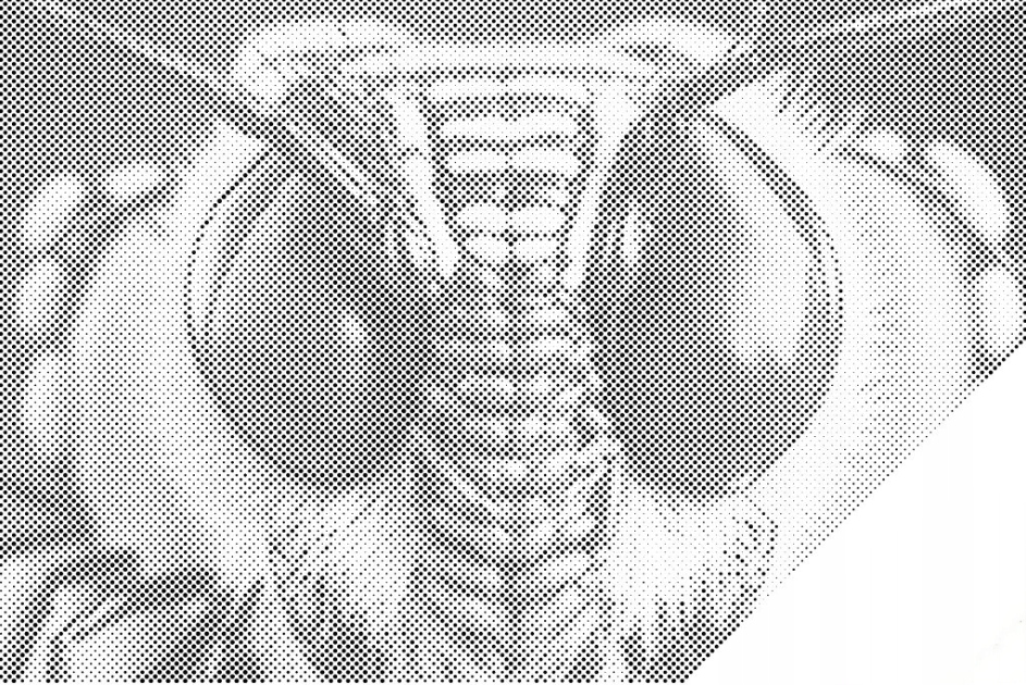 Tečkování Dotting Painting Hmyz Osa Mucha Bąk Včela Velký 80x120cm