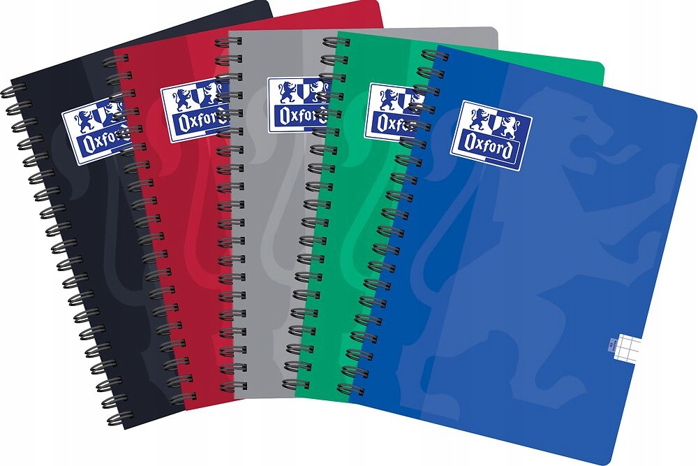 KOŁOZESZYT OXF ESSE A4/80K KRATKA 400175176 A'5