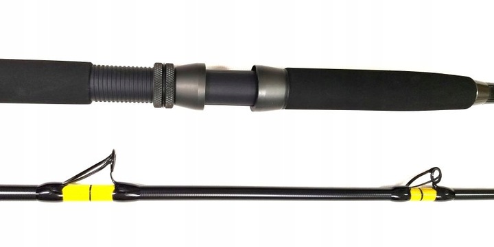 Wędka sumowa CAT FISH PASSION PRO 3 m C.W. 300-600G Model CAT FISH PASSION PRO