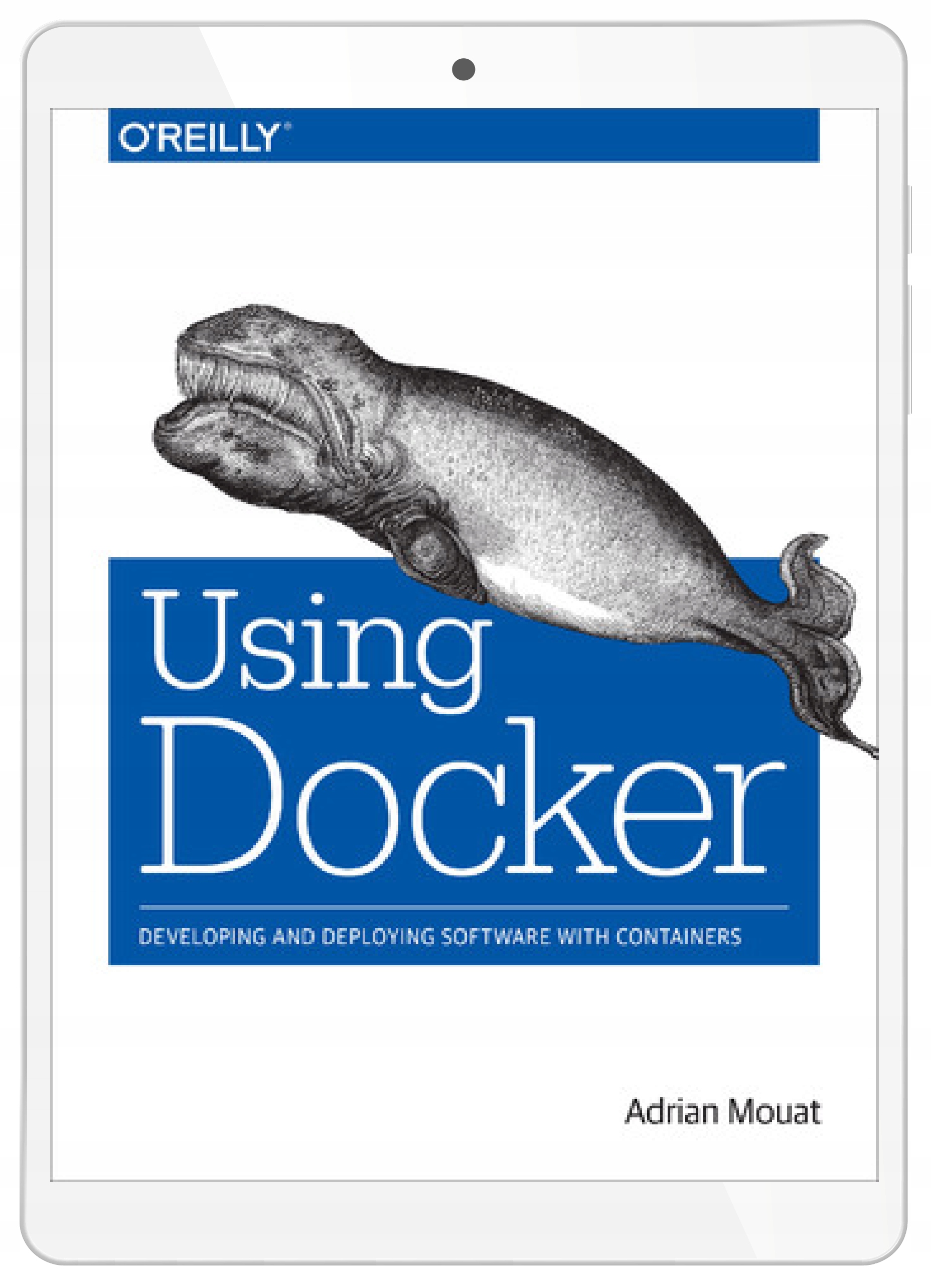 Using Docker. Developing and Deploying Software