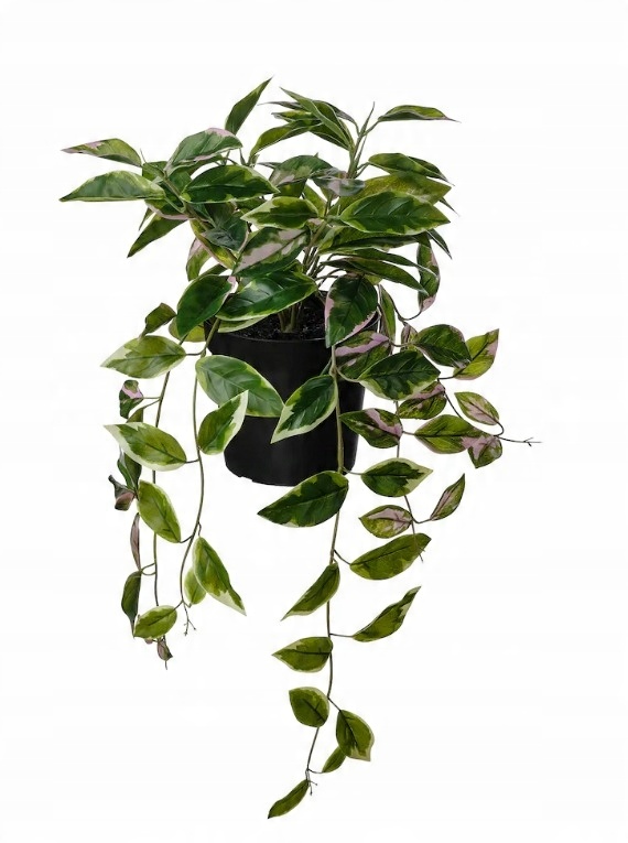 

Ikea Fejka Sztuczna roślina doniczkowa 15cm