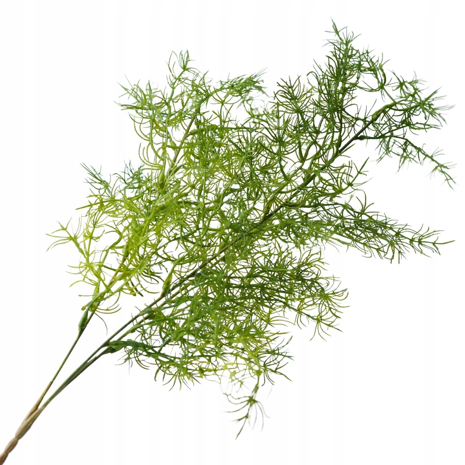 

Asparagus Gałązka Sztuczna Sztuczne Kwiaty XXL
