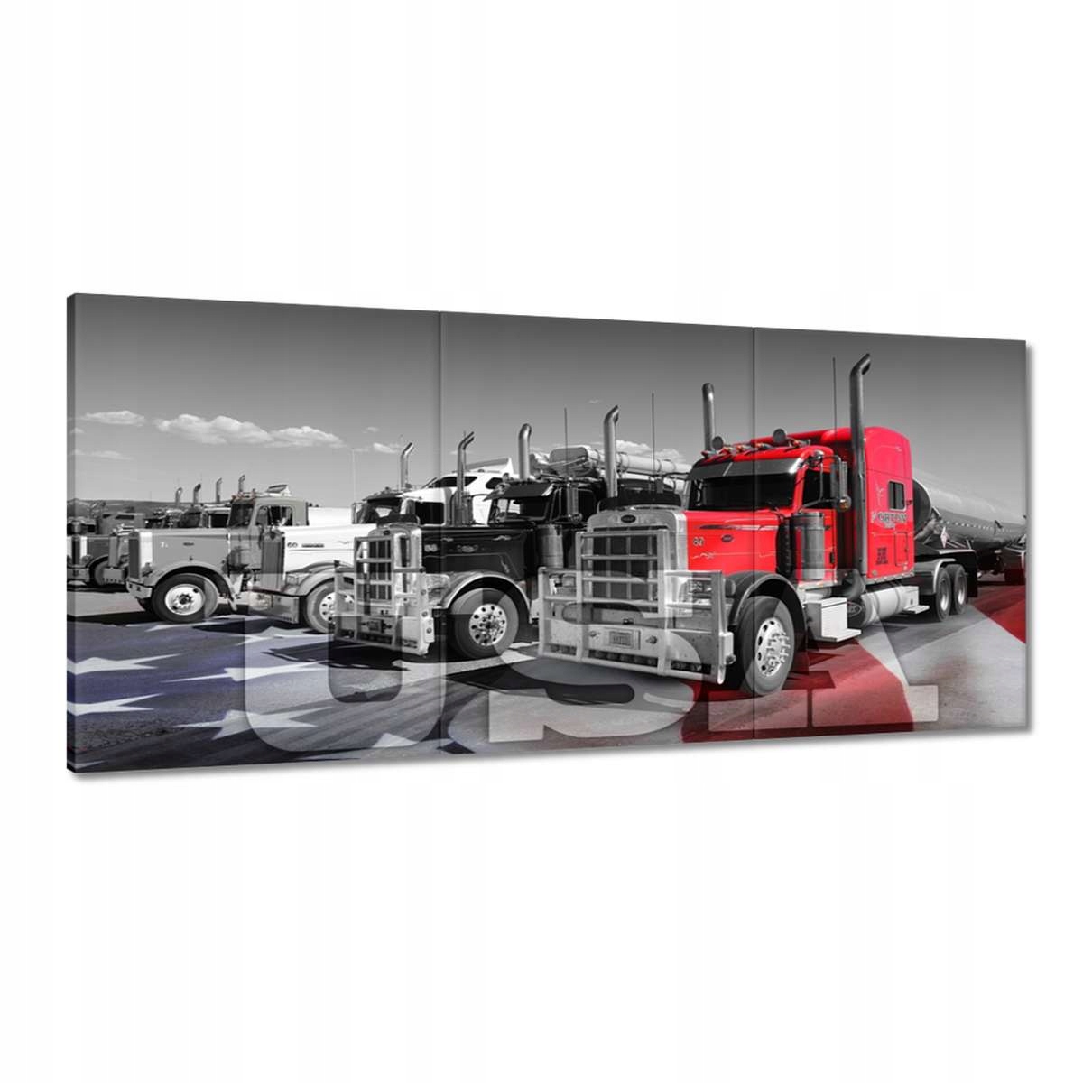 Obrazy 210x100 Americké nákladní automobily