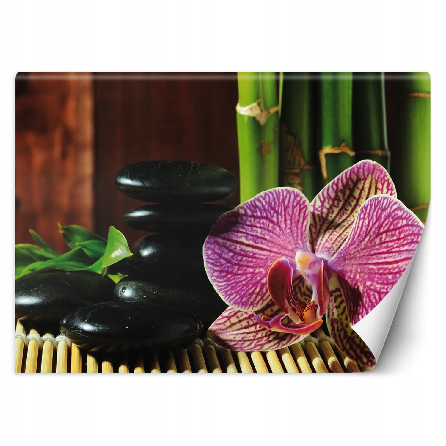 Fototapeta Orchidej kameny zen bambus 350x245
