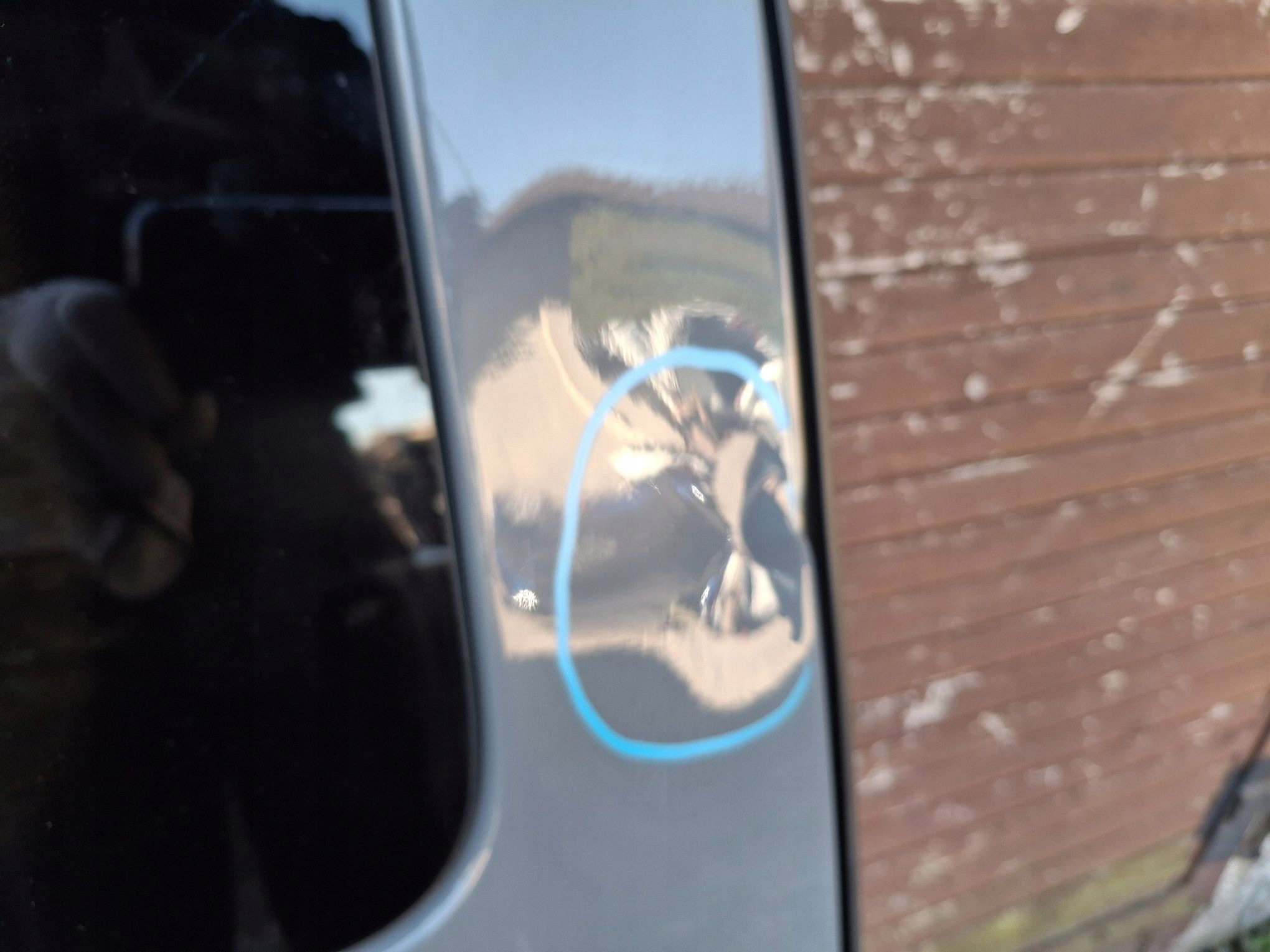 tür rechts schiebe fenster VW CADDY IV 2020R->
