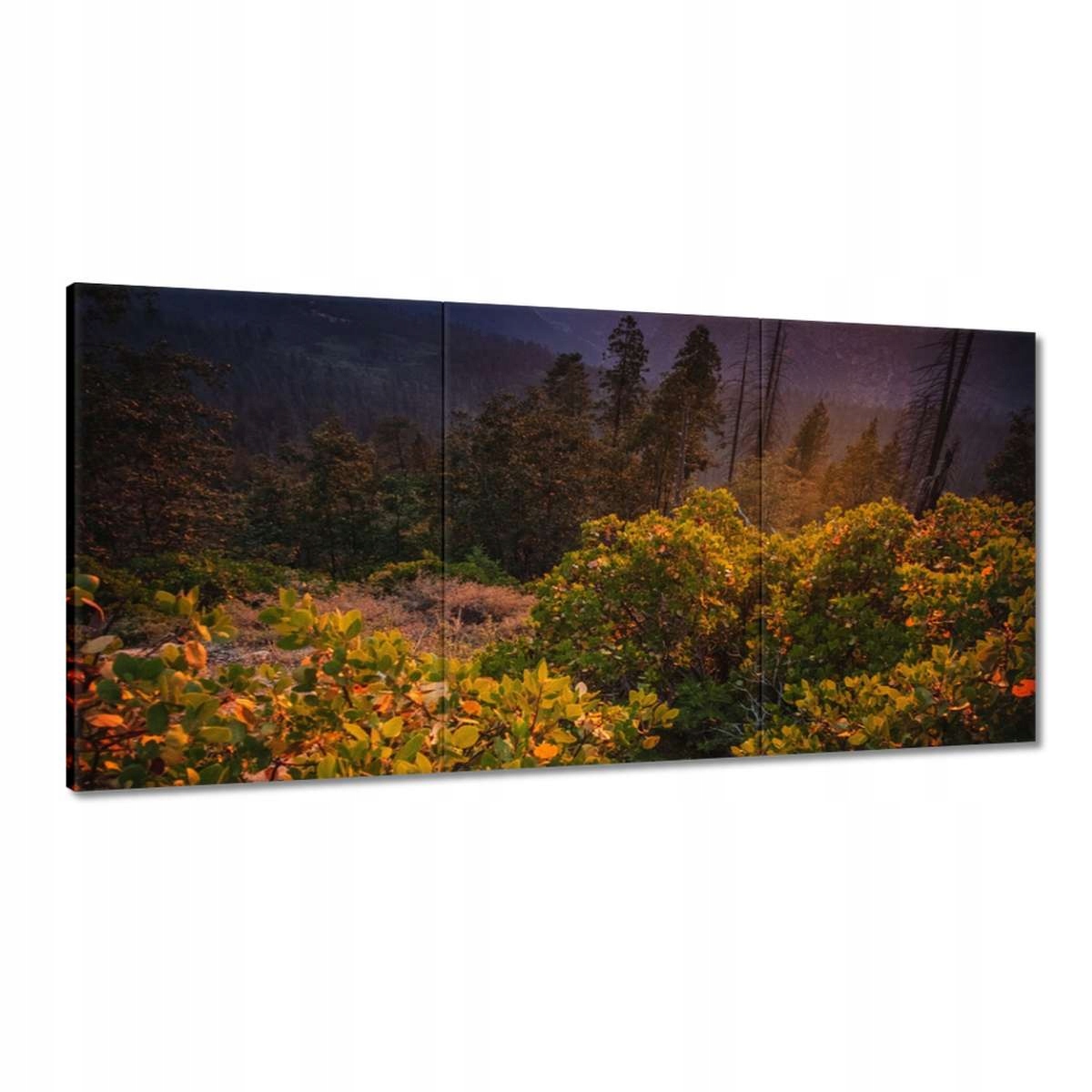 Obrazy 120x60 Pohled Krajina