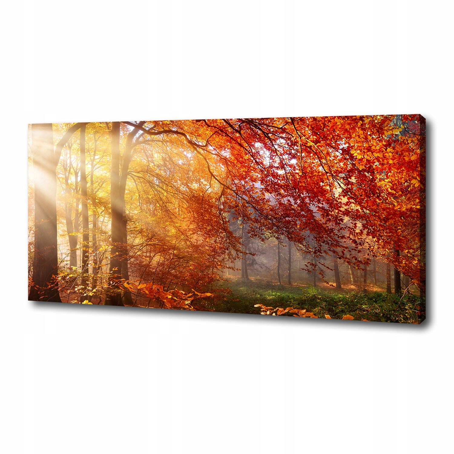 

Foto obraz duży na płótnie Jesienny las 125x50 cm