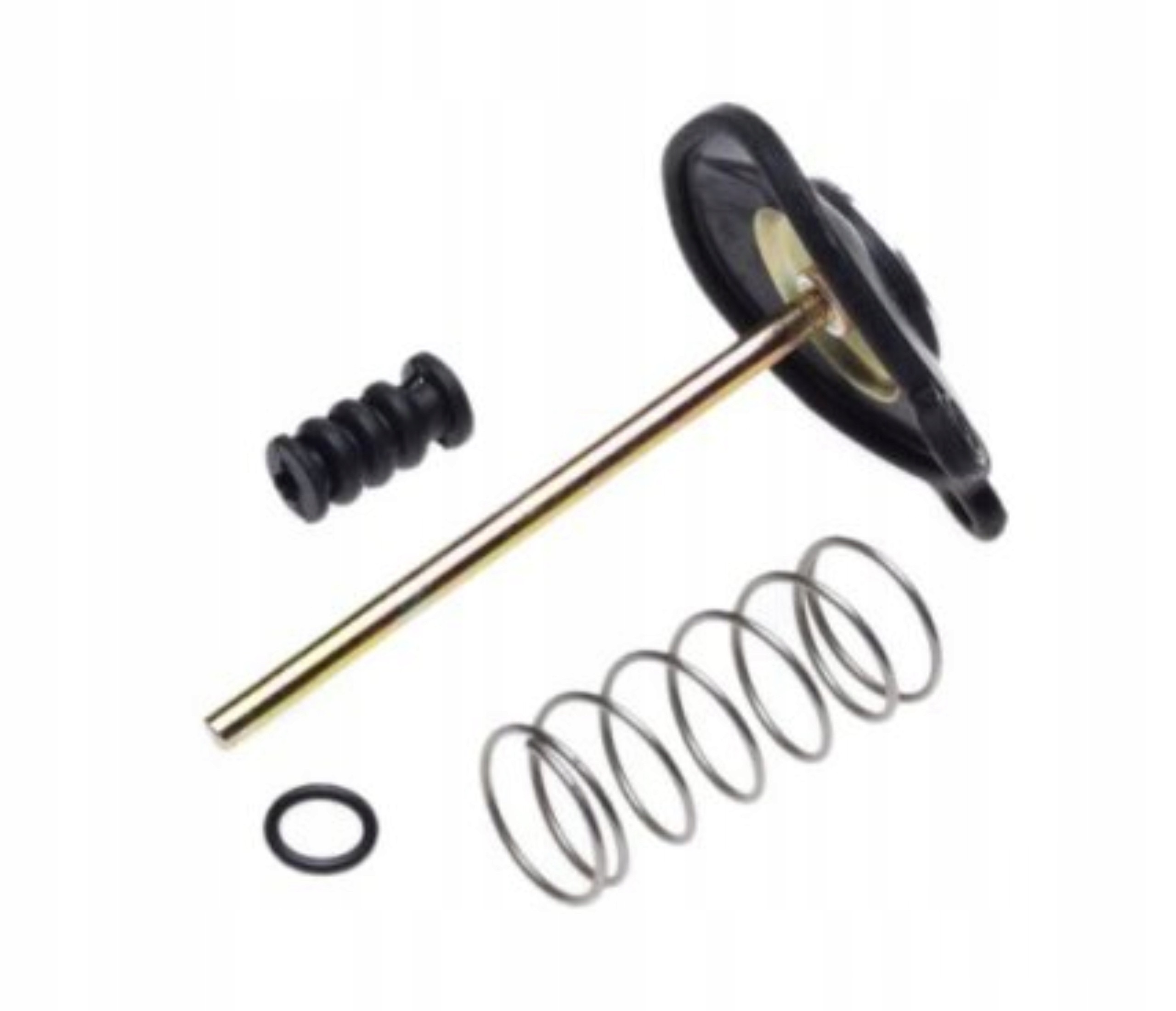 

Honda GL1100 Cb CX Zestaw Naprawczy Pompki Gaźnika