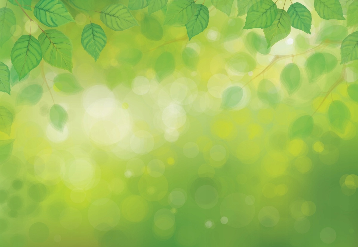 

Tapeta flizelinowa Zielone liście 152x104