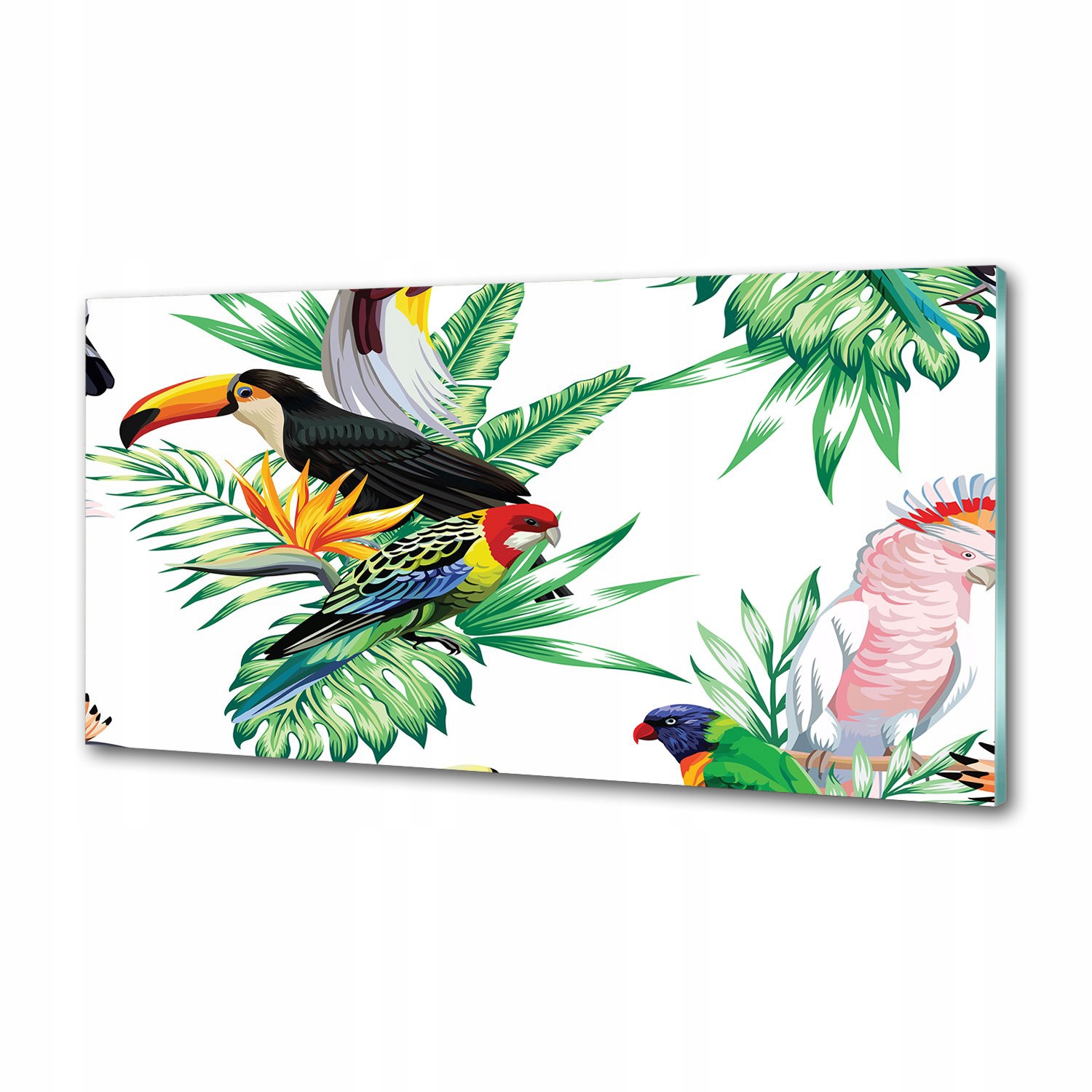 Panel do kuchyne Tropické vtáky 100 x 50 cm Lepidlo