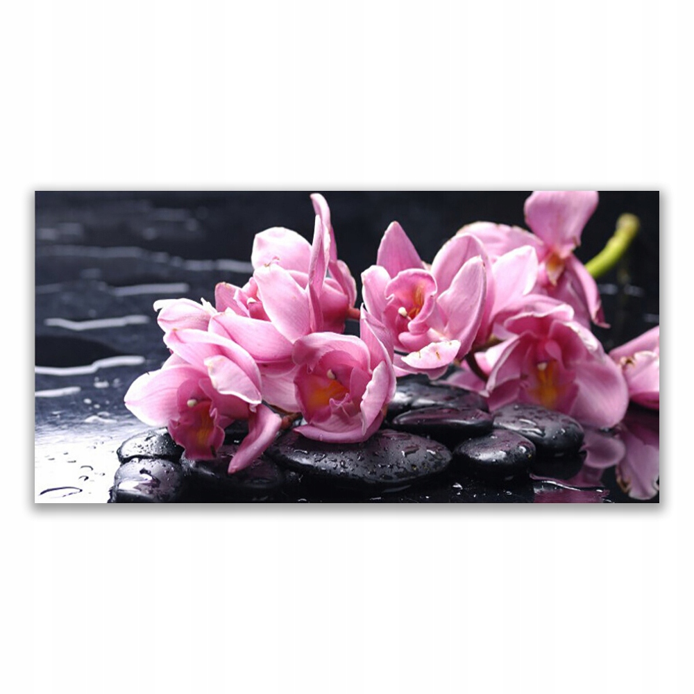 

Fotoobraz na prezent 140x70 Kwiat Orchidea Roślina