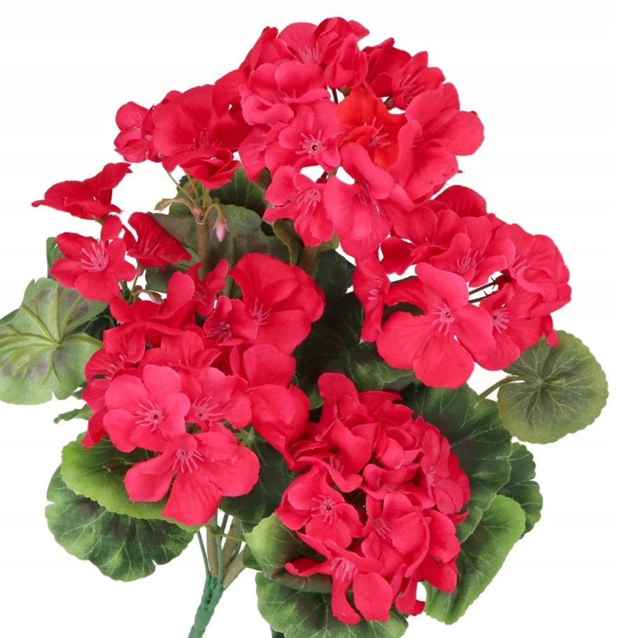 

Pelargonia Duża Gęsta Bukiet Sztuczne Kwiaty 48CM