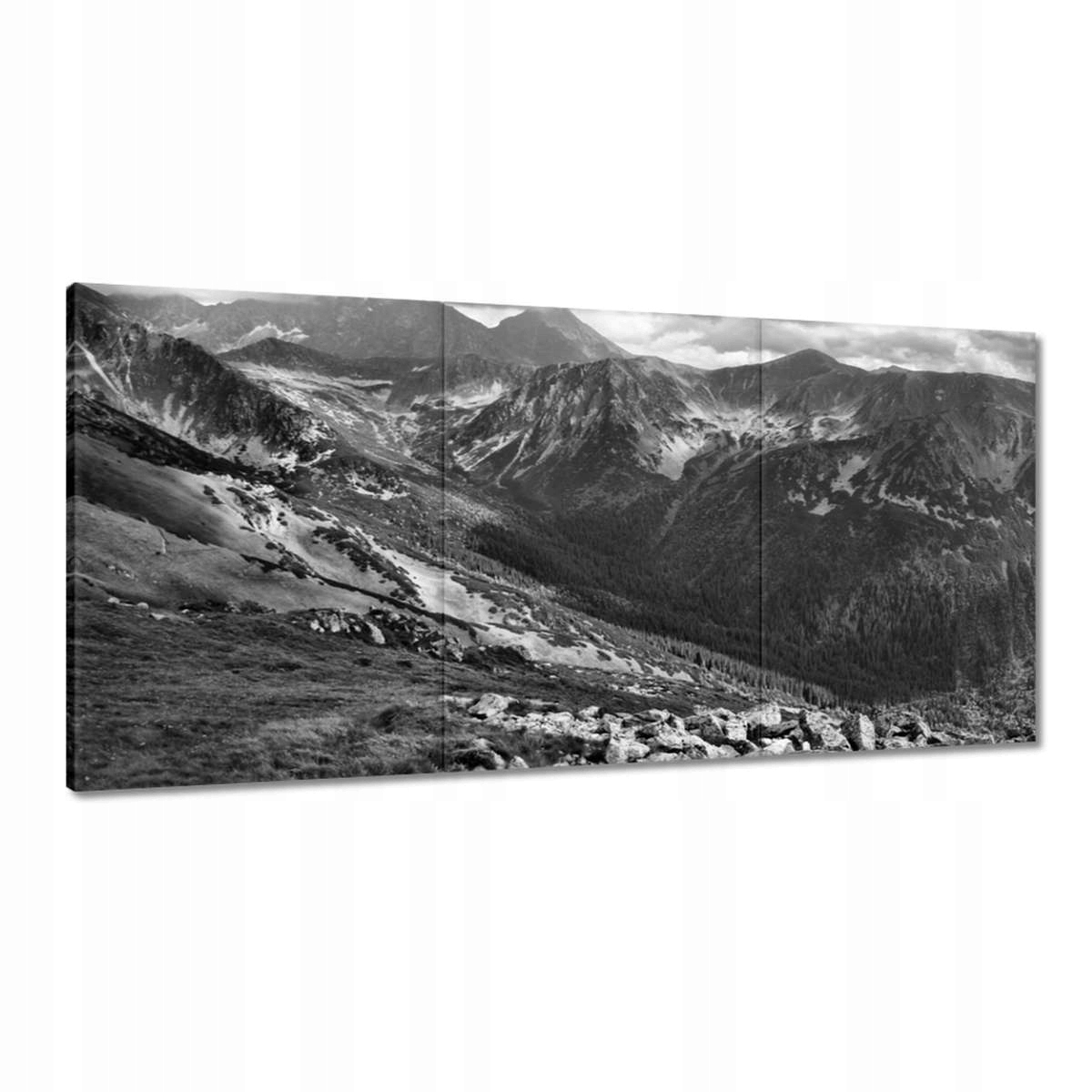 Obrazy 180x90 Tatry Poľské hory Pohľad
