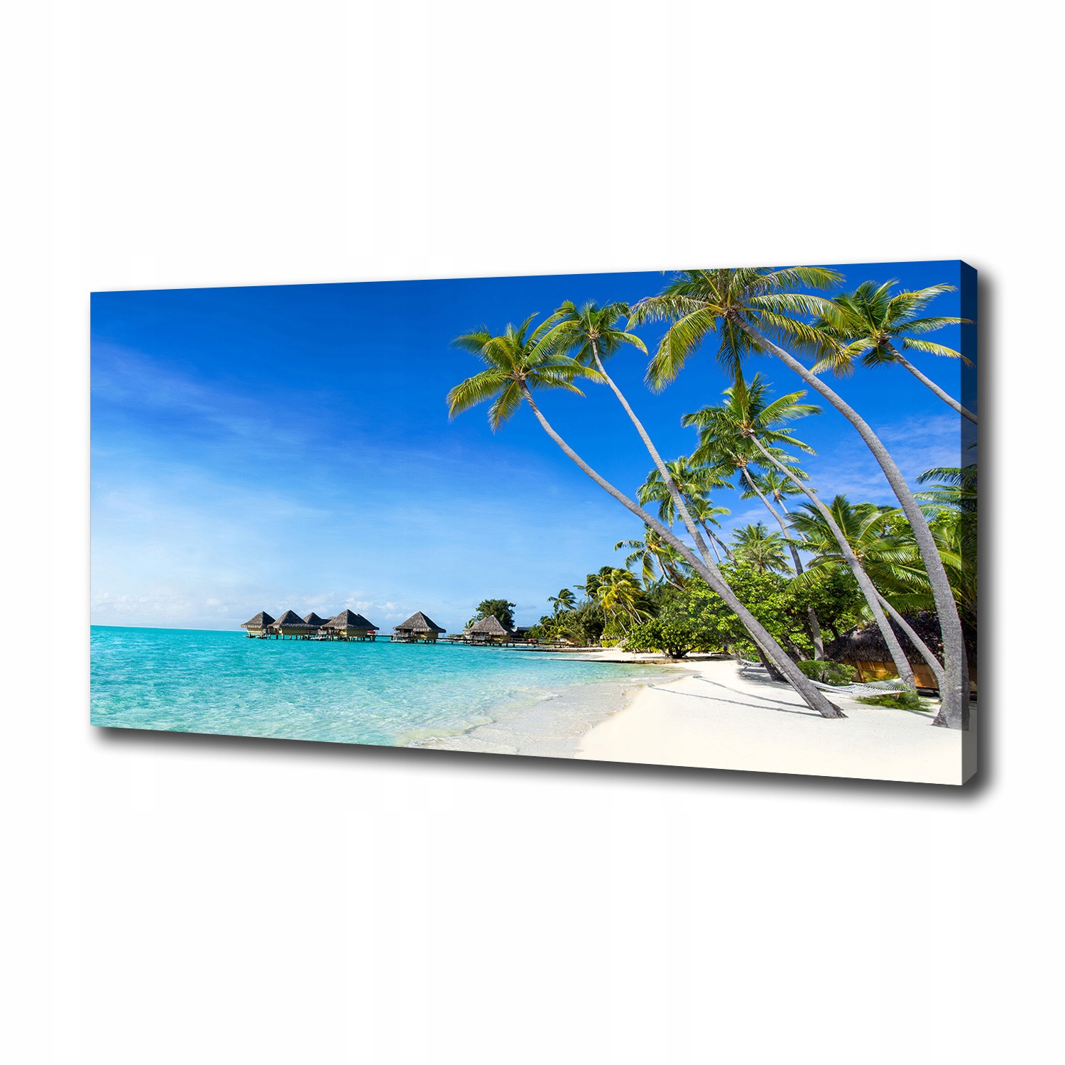 

Foto obraz canvas na ścianę Malediwy 100x50 cm