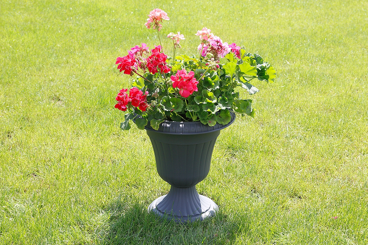 OGRODOWY Gazon doniczka do ogrodu antracyt 42cm DONICA KWIETNIK NA NODZE Marka Form-Plastic