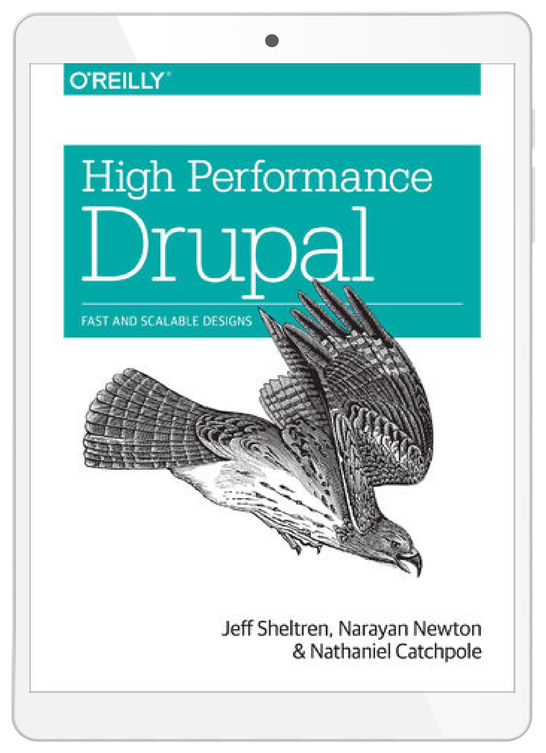High Performance Drupal. Fast and Scalable Designs