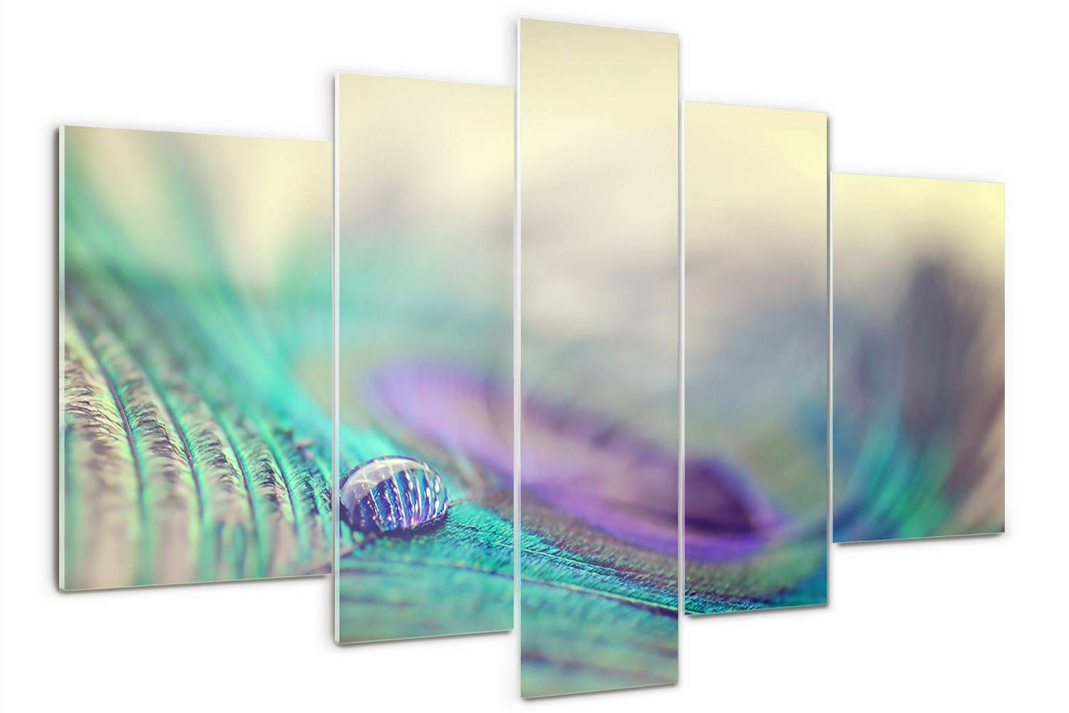 Foto Obraz skleněný polyptych Kapka na peří
