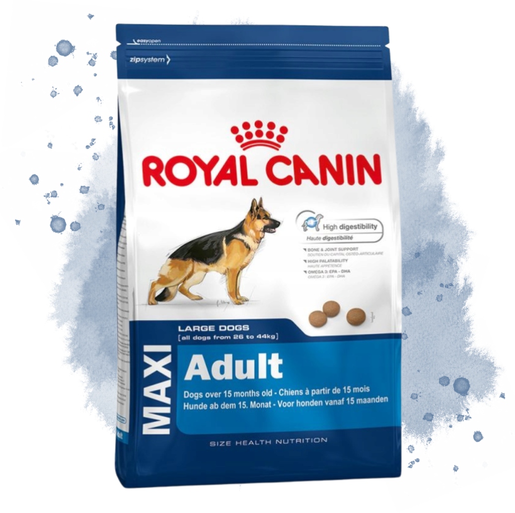 Krmivo Suché Royal Canin Maxi Adult 15 Kg Pro Starší Psy 5+