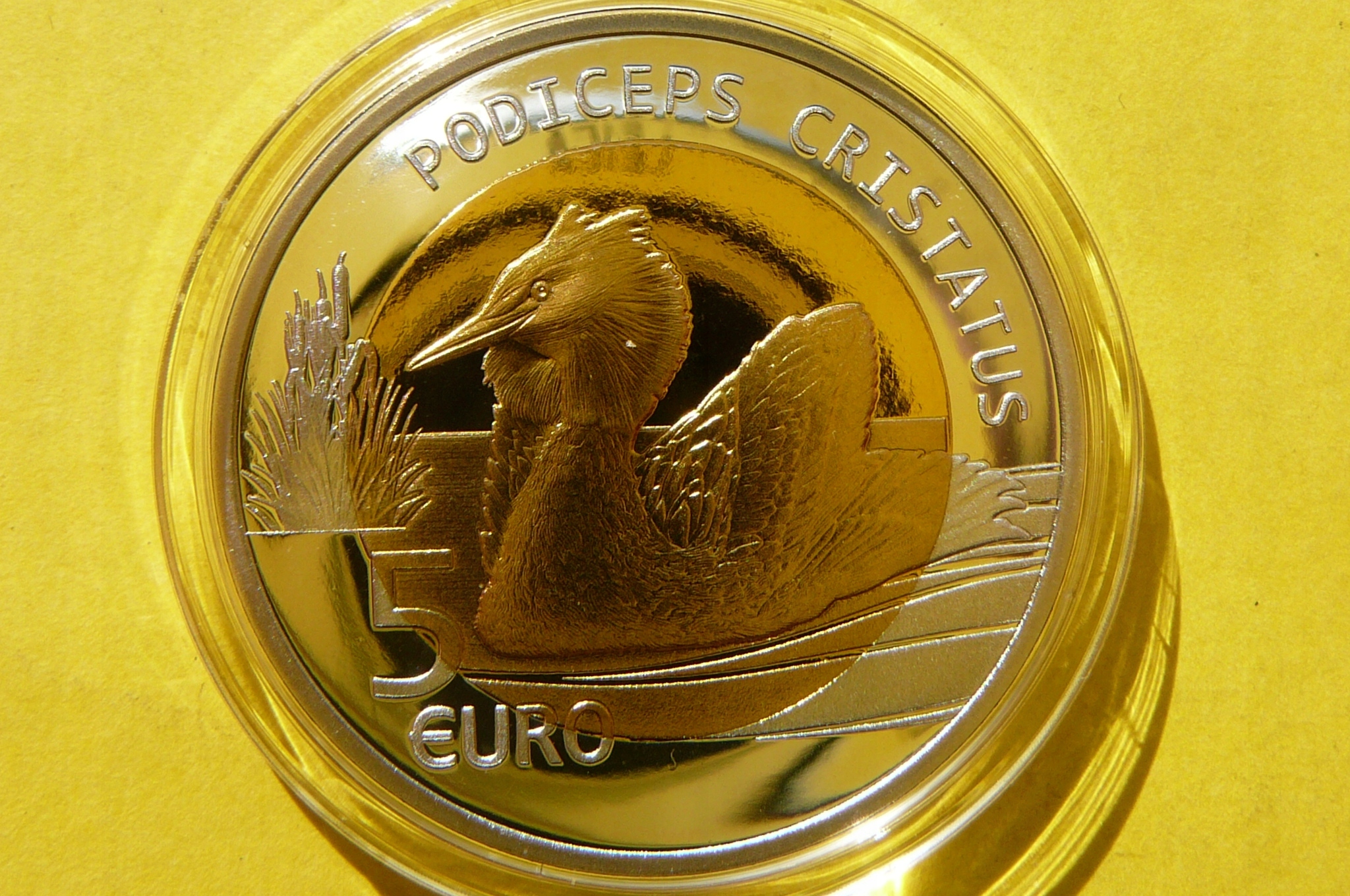 5 EURO LUKSEMBURG 2019 PERKOZ DWUCZUBY RZADKA Ag