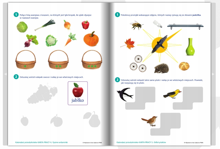 Kalendarz Przedszkolaka Pięciolatek Pakiet Box PWN Rodzaj pakiet