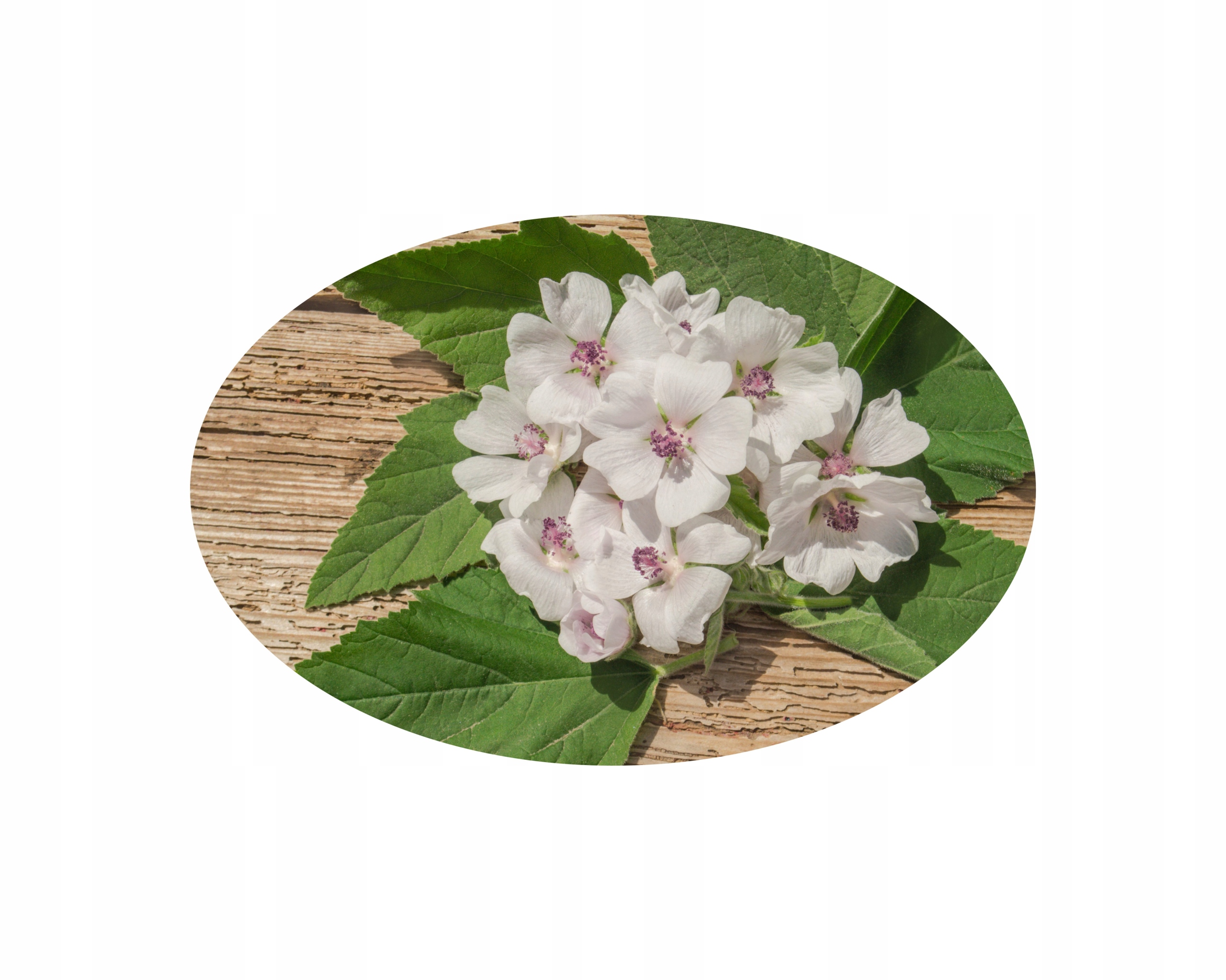 Prawoślaz dla koni Equiherbs 2,5 kg wspomaga układ oddechowy, trawienie