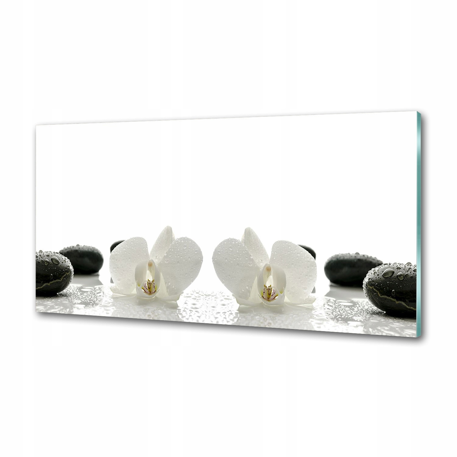 Panel medzi nábytkom v kuchyni Orchidea 100x50 Lepidlo